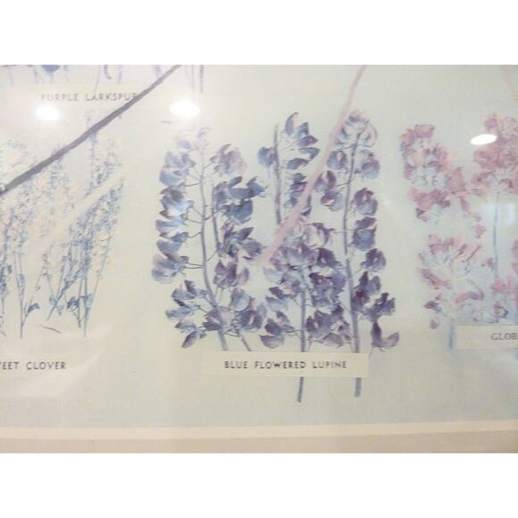 Vintage Framed Navajo Plant Dye Chart Print Ella Myers - Picture 3 of 9